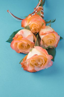 Sevgililer günü için gül.