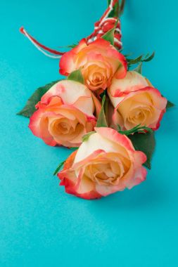 Sevgililer günü için gül.