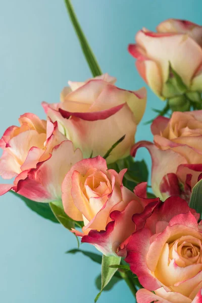 Roses pour la Saint Valentin . — Photo