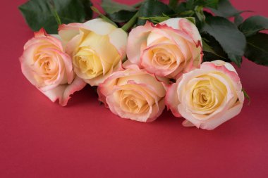 Sevgililer Günü için harika bir gül buketi..