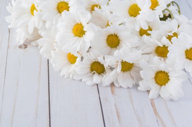 Tatiller için beyaz kasımpatılar.