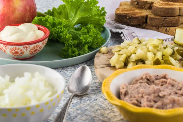 Zutaten Für Thunfischrohrsalat Thunfisch Geschnittene Zwiebel Geschnittene Gurken Mayonnaise — Stockfoto