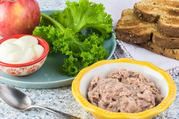 Zutaten Für Thunfischsalat Thunfisch Geschnittene Zwiebel Apfel Mayonnaise — Stockfoto