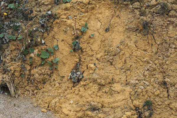 Tanah Kaolin Tempat Ekstraksinya — Stok Foto