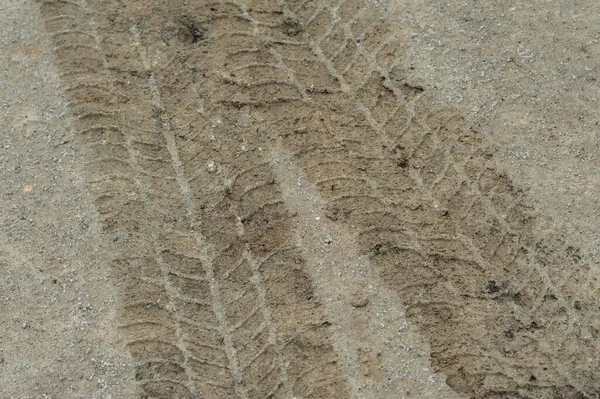 tire tread track on wet sand