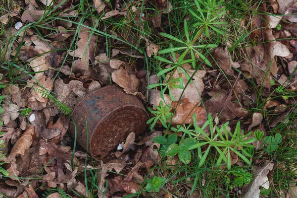 錆びた缶を森の土に — ストック写真