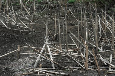 kurumuş bir nehrin dibi.