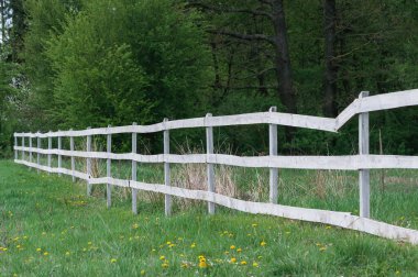 Ormanı çevreleyen beyaz çit