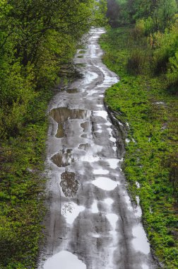 Asfalt ve çamur olmayan bir ormanın ortasında yol.