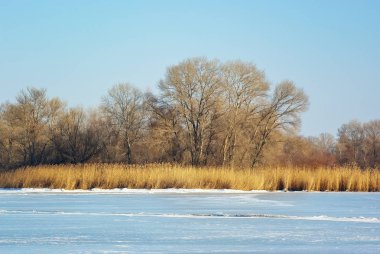 Kış buz manzara. Doğa kompozisyon.