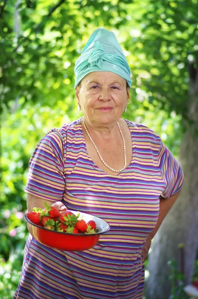 Piękna stara kobieta i zbiorów truskawek — Zdjęcie stockowe