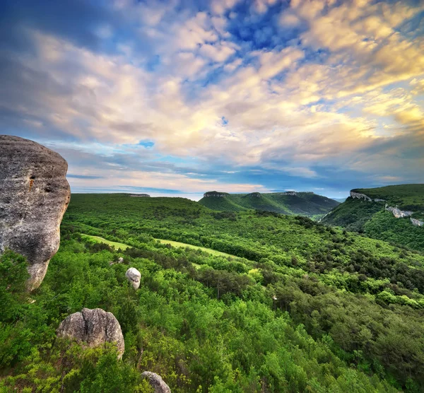Dağ manzarası. Doğanın bileşimi.