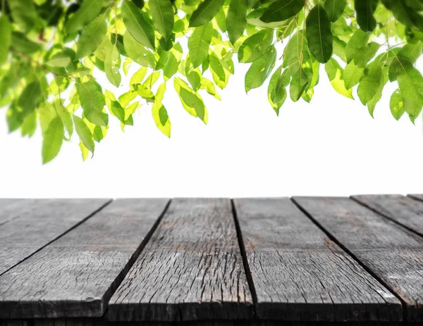 Paneles de madera con hojas verdes de fondo —  Fotos de Stock