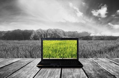 Ahşap Teras boş beyaz ekran ve güzel doğa görünümü arka plan bilgisayar laptop. Ekran kırpma yolu