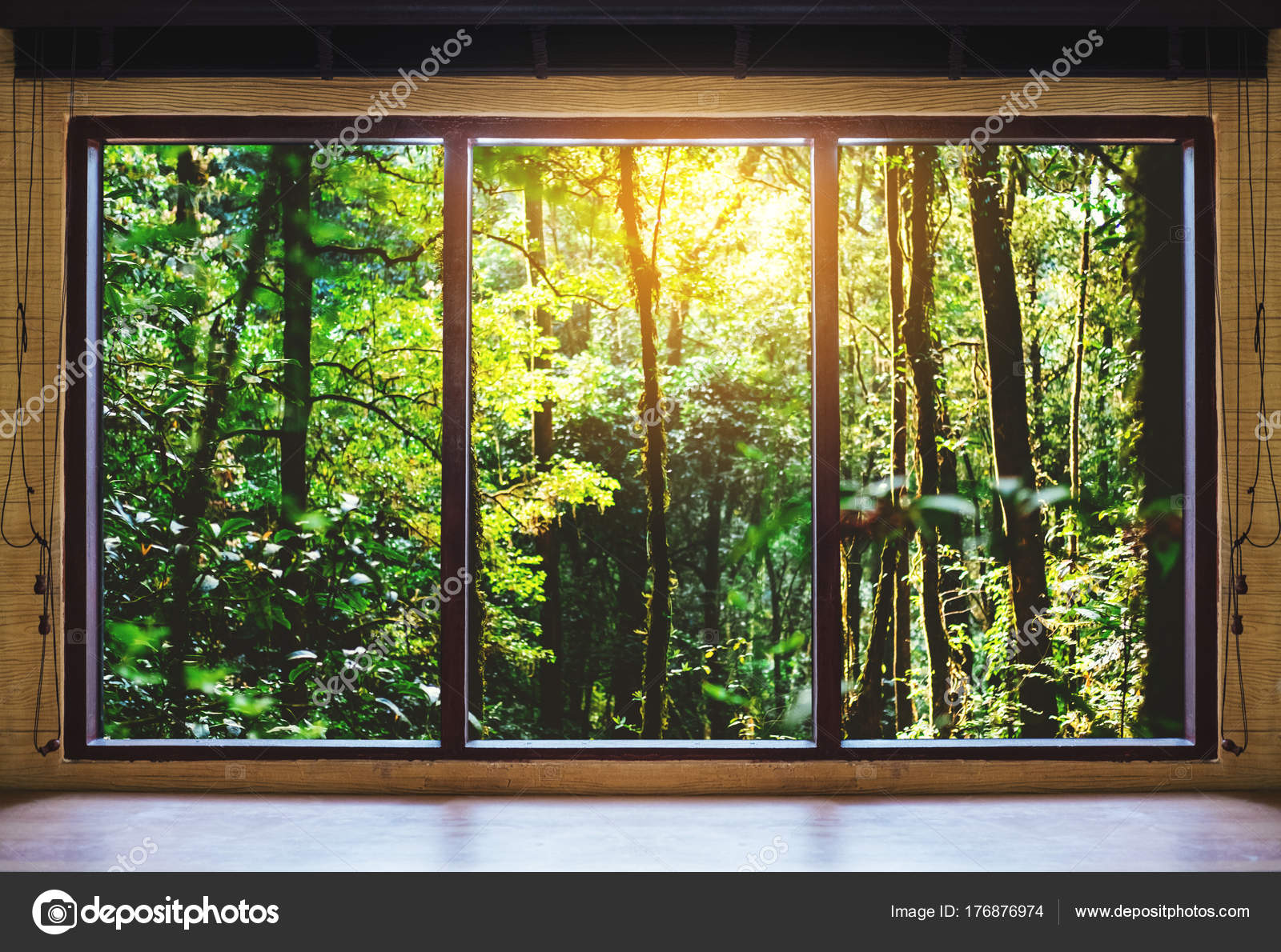 Blick Durchs Fenster Tropische Wälder Sonnenaufgang