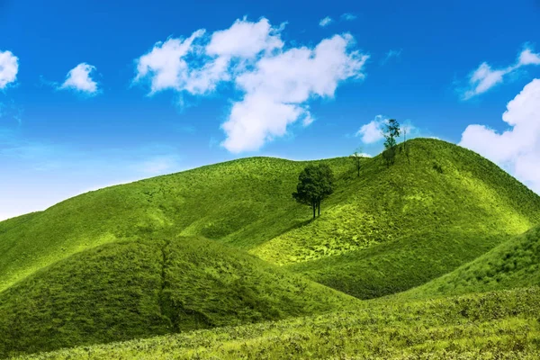 Зелений Пагорб Блакитним Небом Білими Хмарами — стокове фото