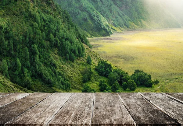 丰富的热带雨林在山上的丘陵景观早晨 与木地板 — 图库照片