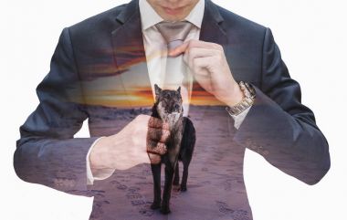 Double exposure young businessman tying necktie with leader wolf in sunset clipart