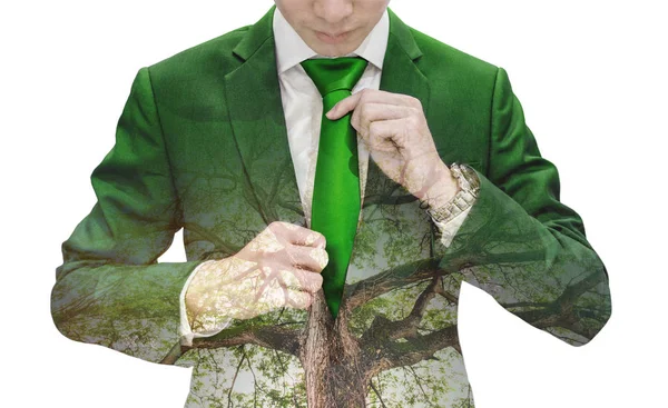 Doble Exposición Hombre Negocios Atando Corbata Verde Árbol Grande —  Fotos de Stock