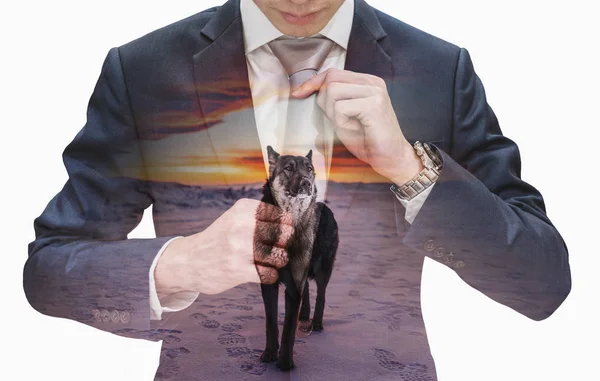 Double Exposure Young Businessman Tying Necktie Leader Wolf Sunset — Stock Photo, Image