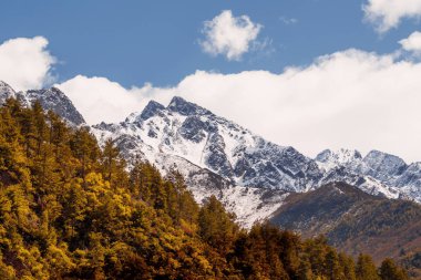 Çin, Sichuan 'da sonbahar ormanı olan kar dağı