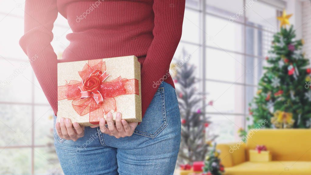 Young woman hiding gift box behind, Surprise Christmas gift