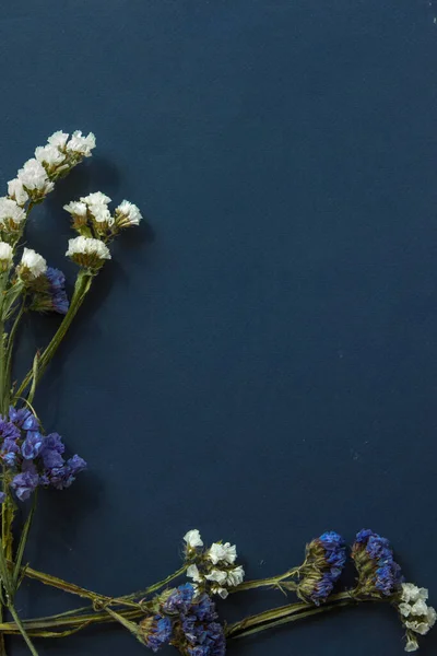 Kurumuş çiçek gevrekleri koyu bir arka planda ve metin için yeri var