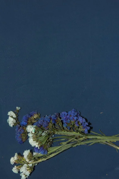 Kurumuş çiçek gevrekleri koyu bir arka planda ve metin için yeri var