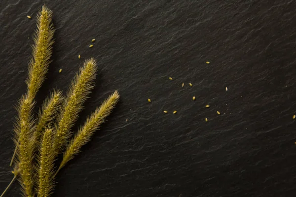 Kurumuş çiçek gevrekleri koyu bir arka planda ve metin için yeri var