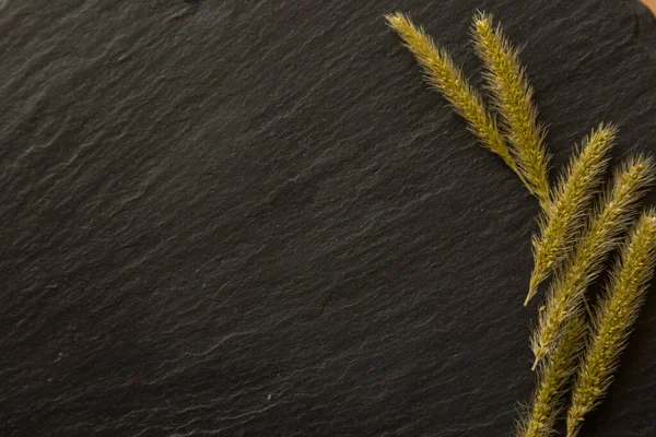 Kurumuş çiçek gevrekleri koyu bir arka planda ve metin için yeri var