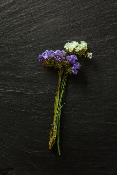 Kurumuş çiçek gevrekleri koyu bir arka planda ve metin için yeri var