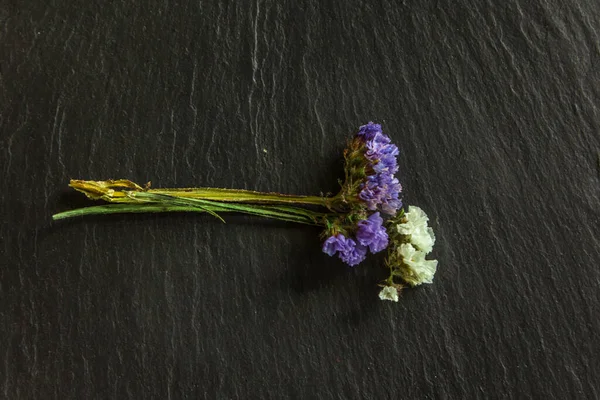Kurumuş çiçek gevrekleri koyu bir arka planda ve metin için yeri var