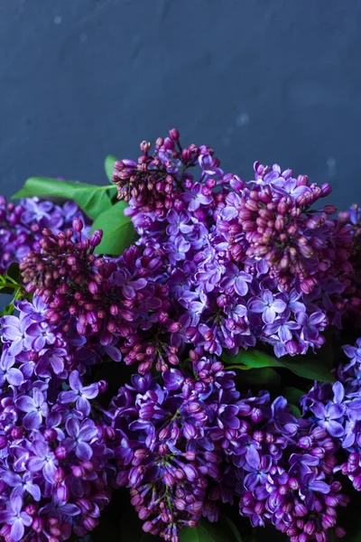 Parlak neon mor leylak buketi