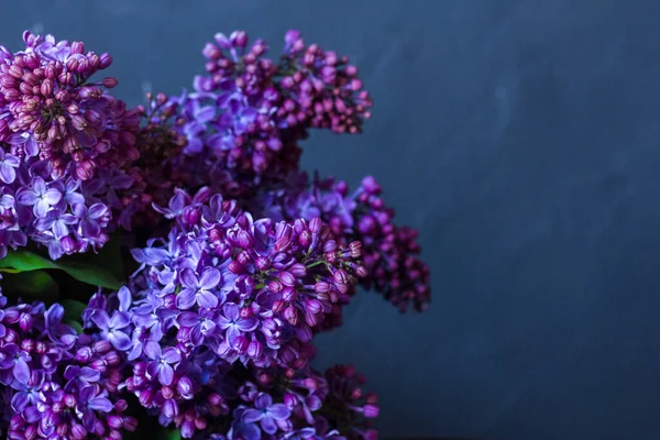 Parlak neon mor leylak buketi