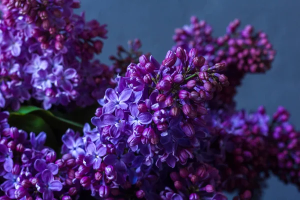 Parlak neon mor leylak buketi