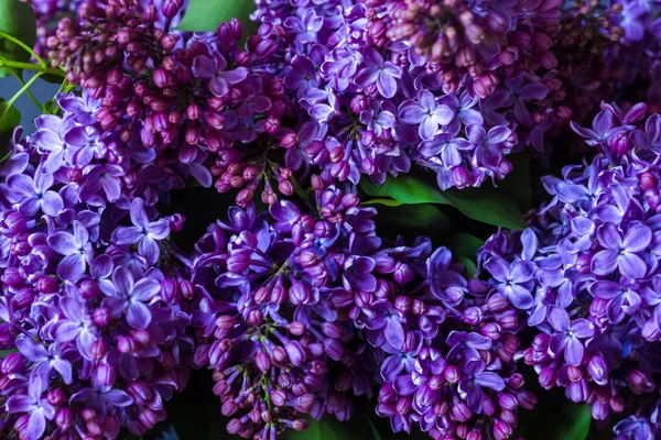 Parlak neon mor leylak buketi