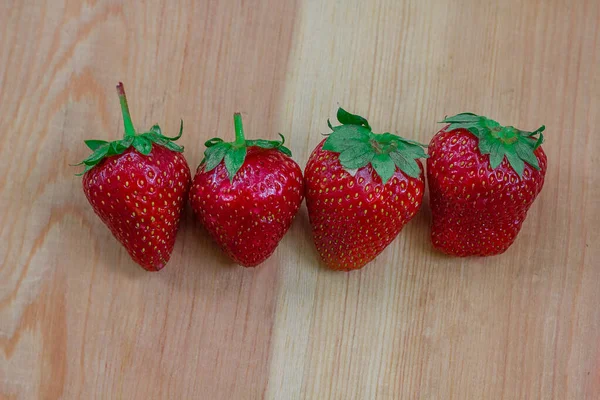 Ahşap arka planda kırmızı olgun eşek arısı