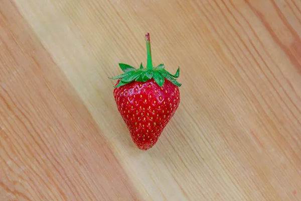 Ahşap arka planda kırmızı olgun eşek arısı