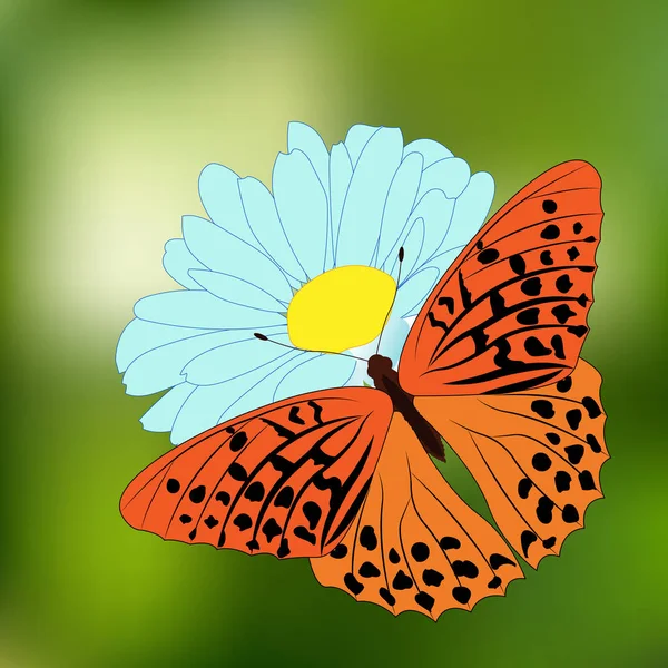 Orangefarbener Schmetterling auf einer Blume — Stockvektor