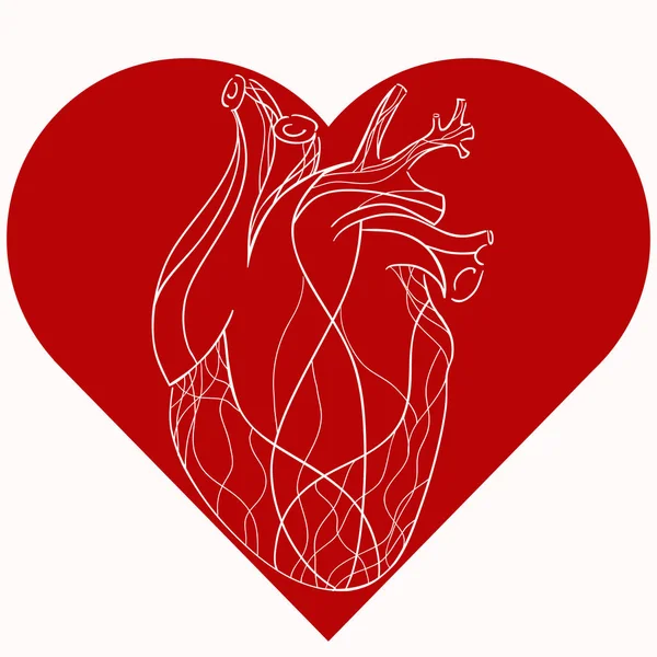 Corazón estilizado realista — Vector de stock