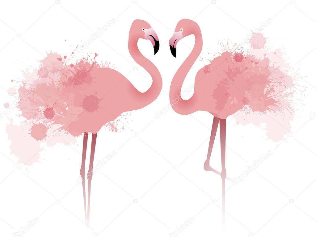 couple pink flamingos