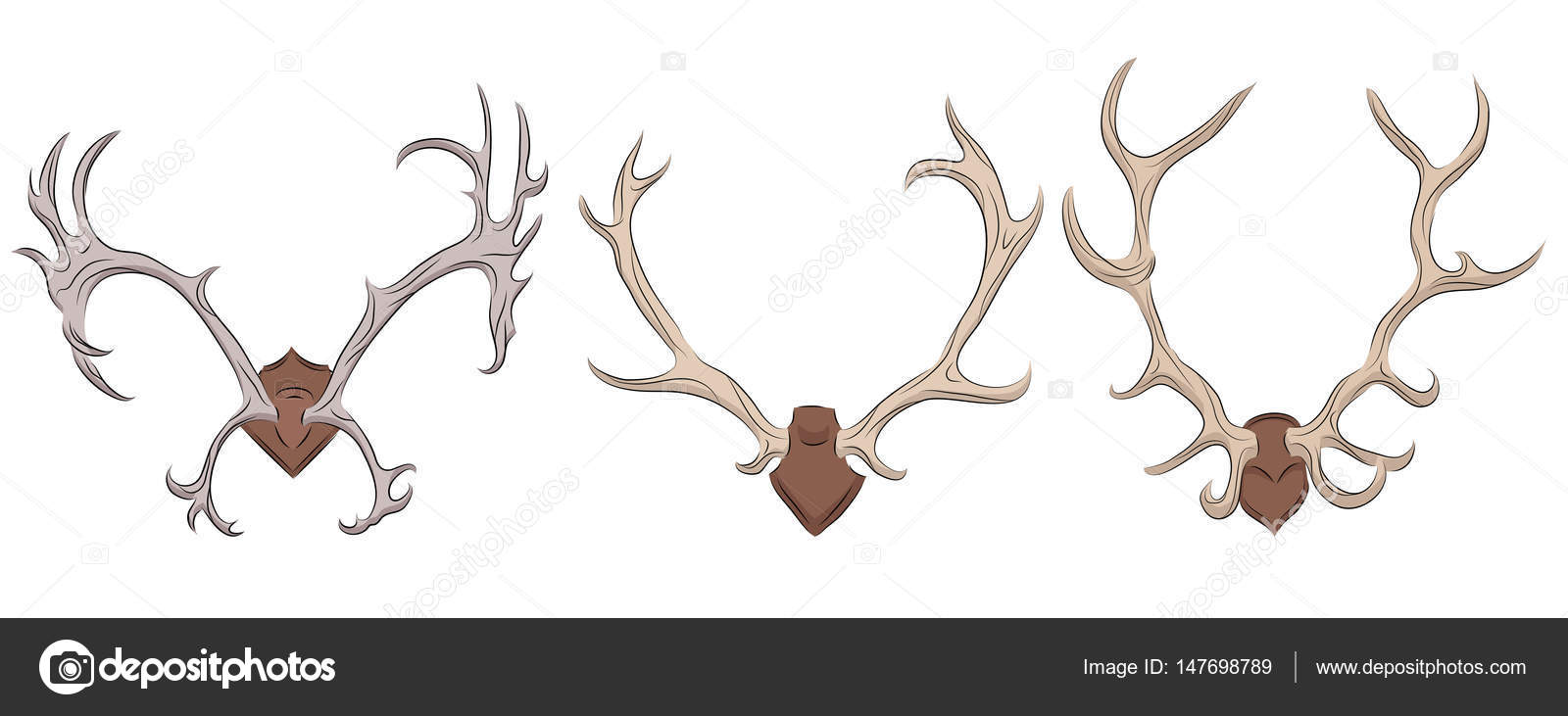 Sæt af forskellige hjorte gevirer . Stockvektor af ©veleri 147698789, image size:1600x731