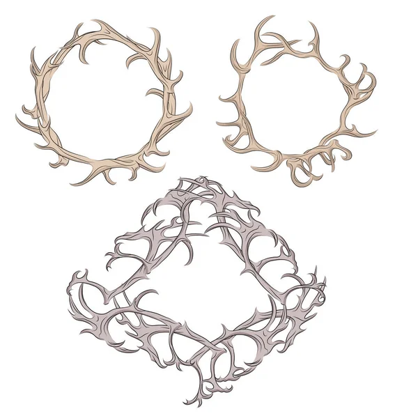 Conjunto de diferentes marcos de astas de ciervo . — Archivo Imágenes Vectoriales