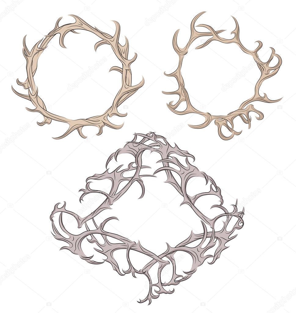 Set of different frame of deer antlers. 