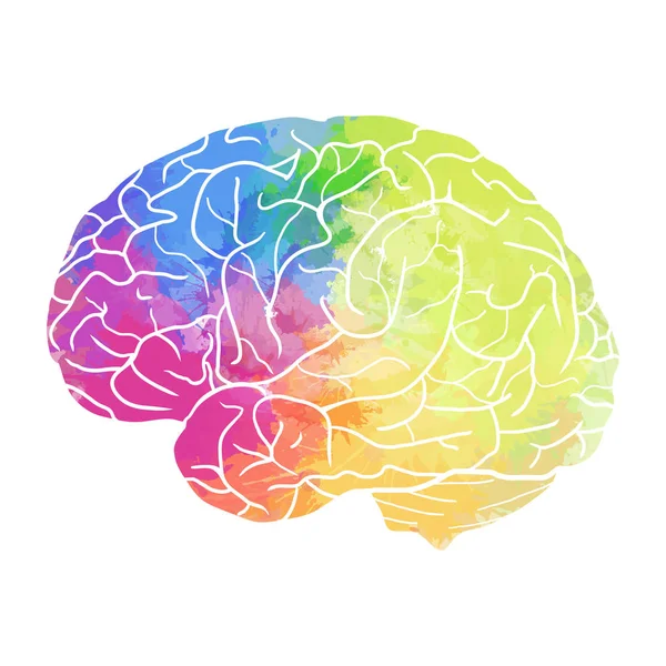 Cerebro humano con arco iris — Vector de stock