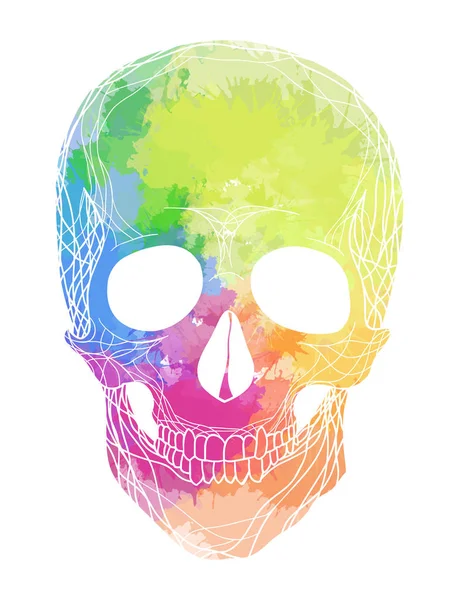 Menselijke schedel met regenboog aquarel spatten — Stockvector