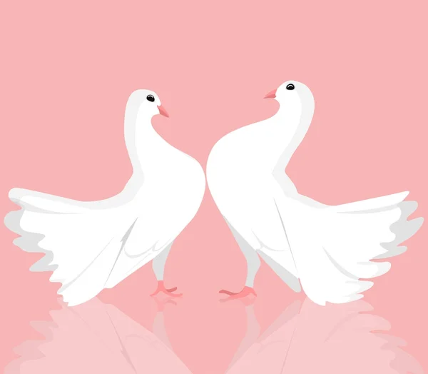 Beyaz Güvercin Çifti Illustration Seviyorum Vektör Çizim Için Yaratıcılığınızı — Stok Vektör