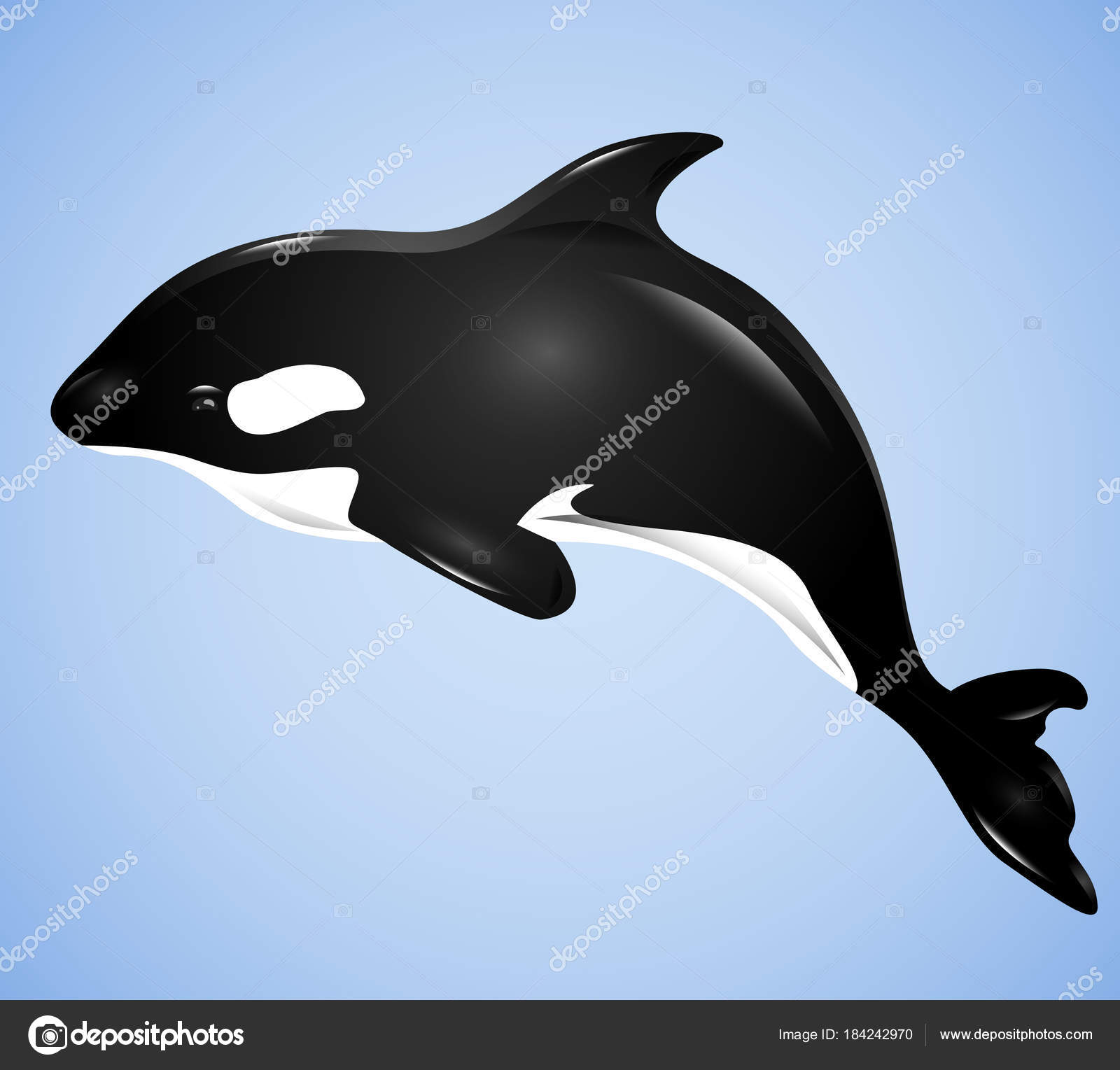 グランパスストックベクター ロイヤリティフリーグランパスイラスト Depositphotos