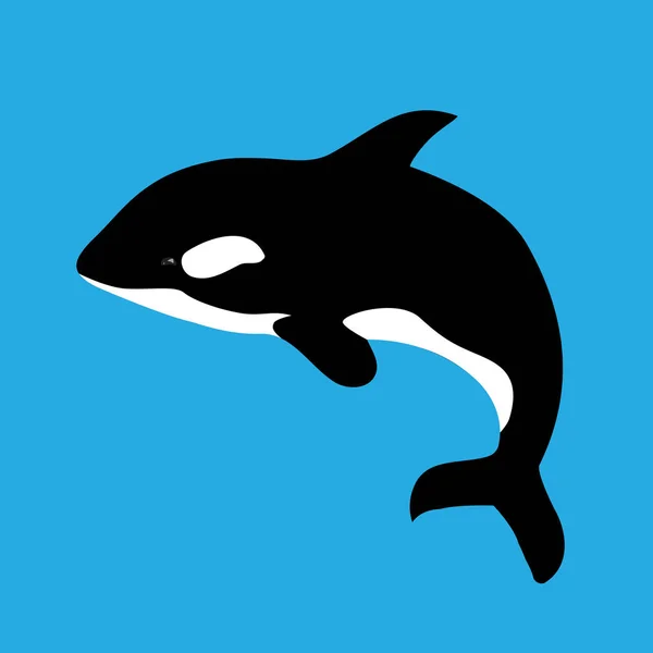 Flat Illustration Grampus Blue Background Vector Killer Whale Your Design — Stock Vector