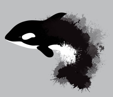 Grampus gri arka plan üzerine suluboya sıçraması ile